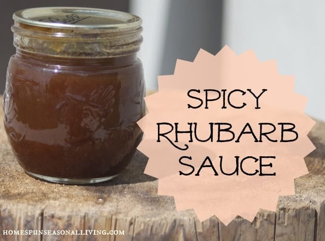 Spicy Rhubarb Sauce - Homespun Seasonal Living