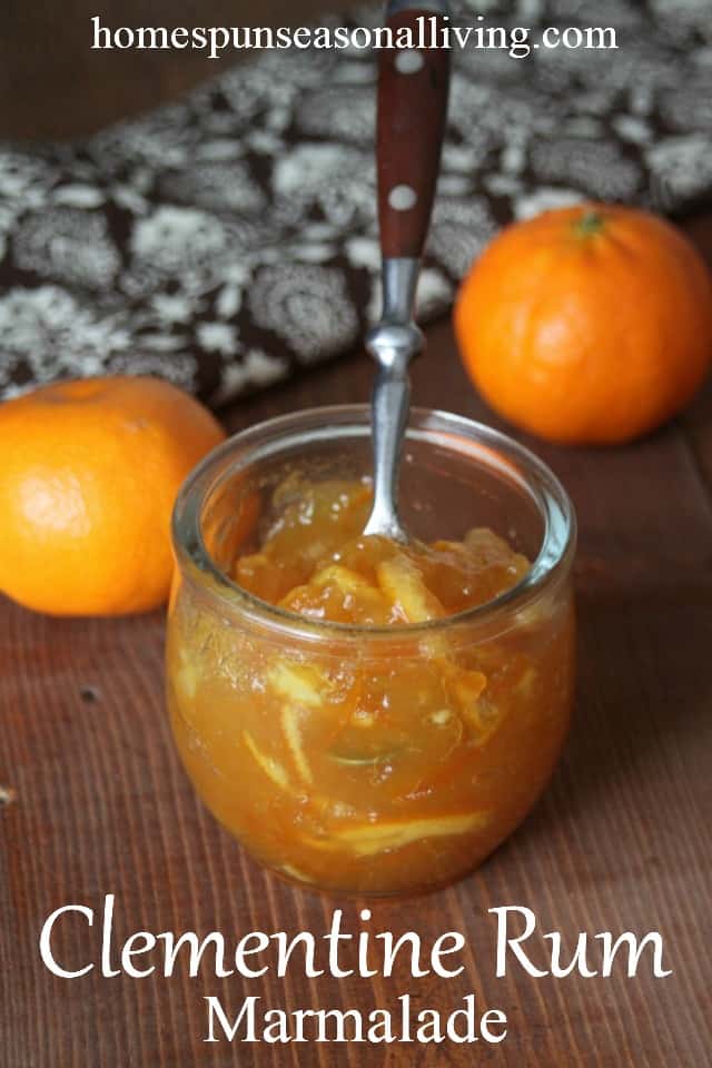 Make the most of those sweet, winter seasonal fruits by preserving some with this easy and delicious Clementine Rum Marmalade. Great on toast and dessert, there's no end to the ways to use this preserve. 