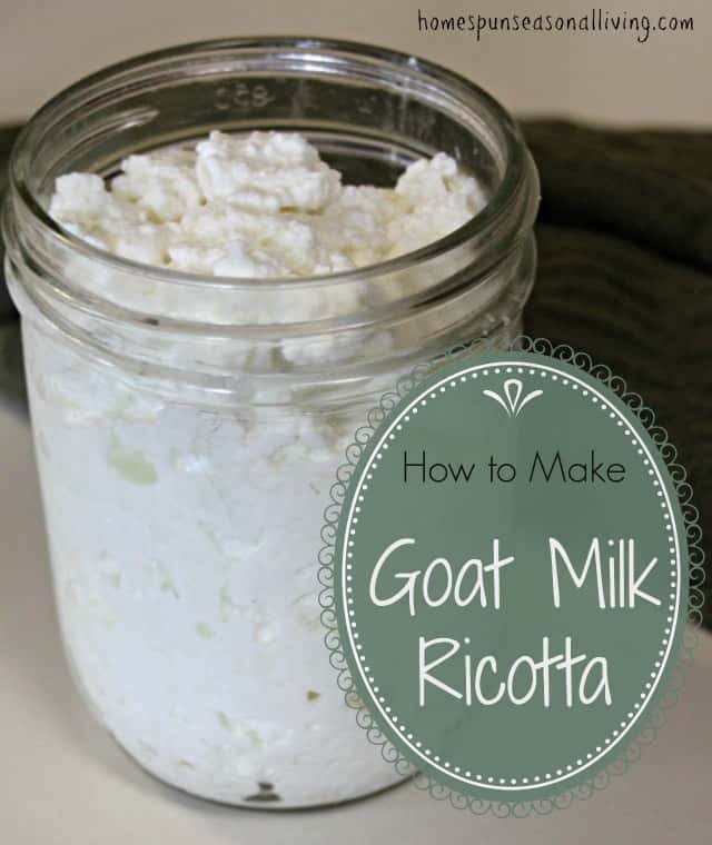 How to make goat milk ricotta at home.