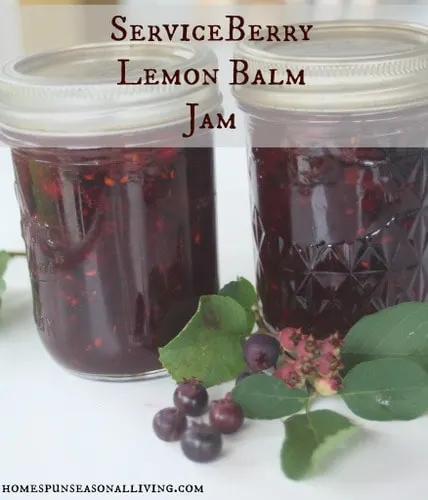 Serviceberry Lemon Balm Jam - Homespun Seasonal Living