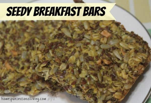 Seedy Breakfast Bars - full of healthy seeds, nuts, dried fruits and pumpkin. Tasty toasted with jam or plain.