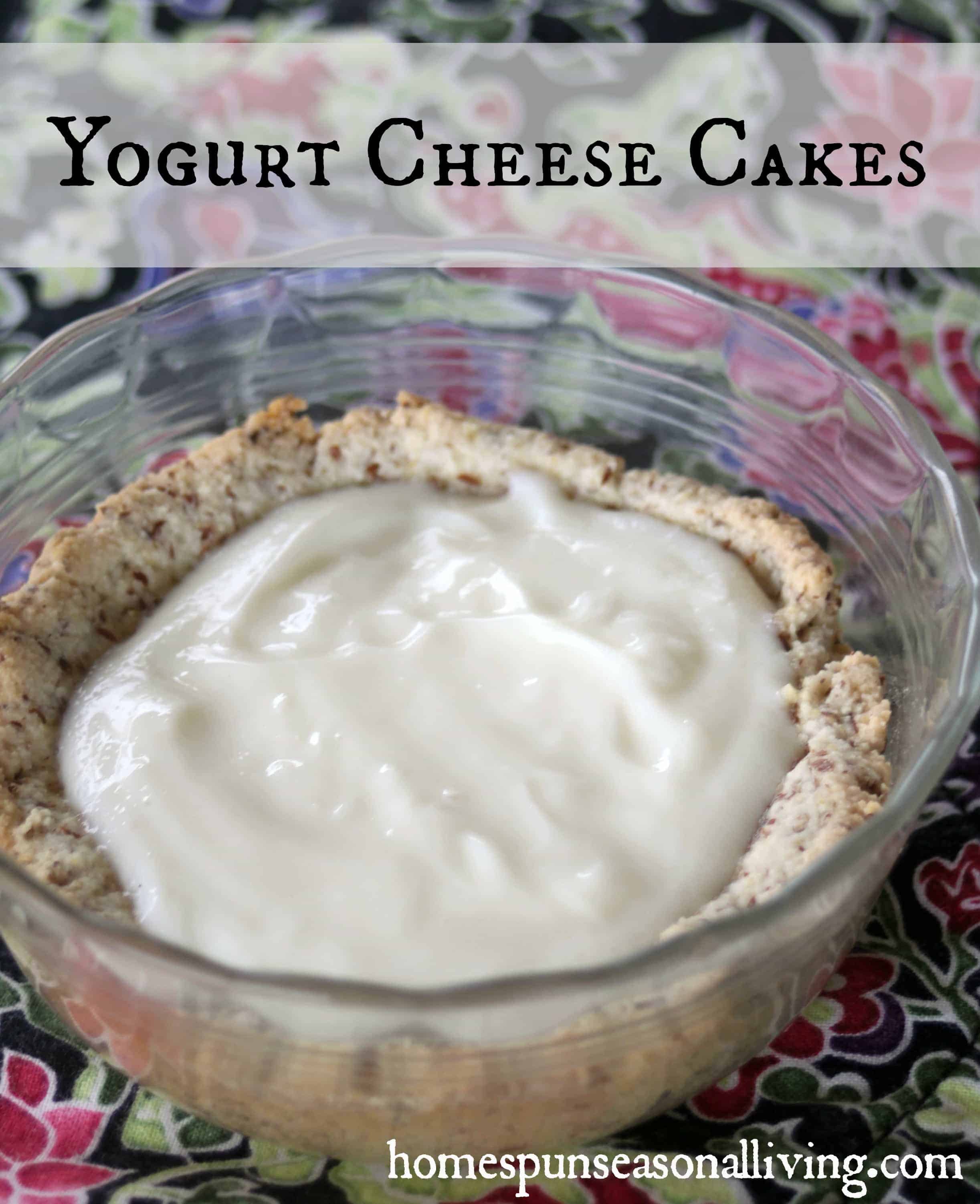 Yogurt Cheese Cakes - Homespun Seasonal Living