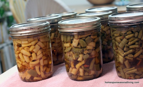 Canning Beans for the Time Crunched - Homespun Seasonal Living