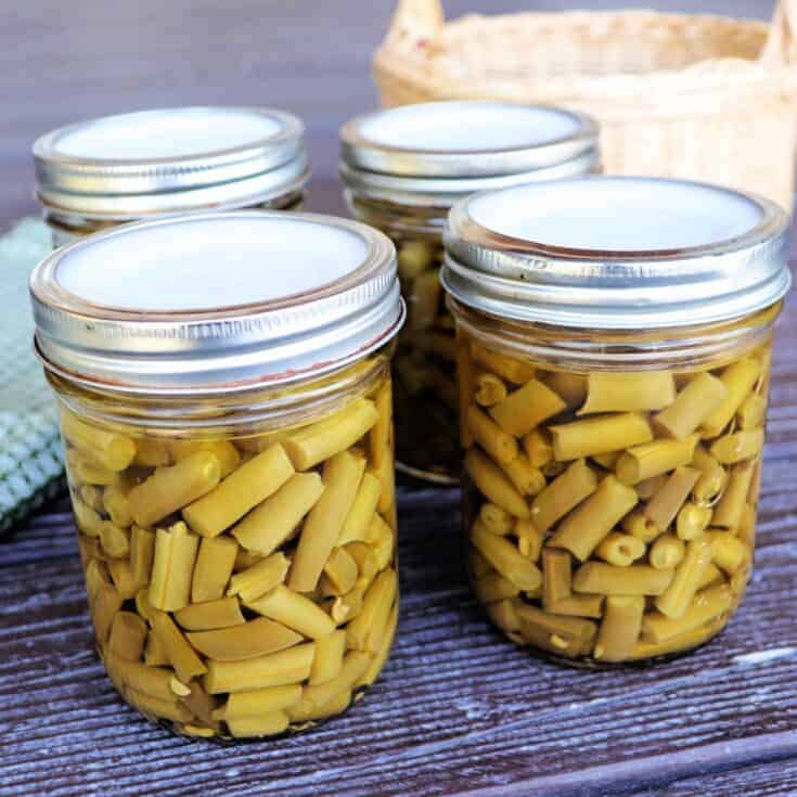 An Easy Way To Can Green Beans With Raw Pack - Homespun Seasonal Living