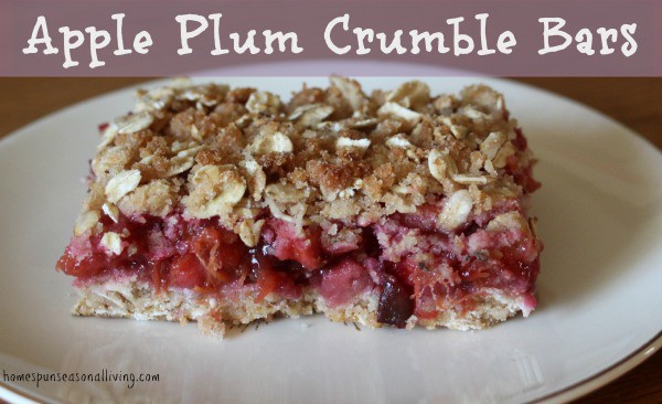 Apple Plum Crumble Bars - Homespun Seasonal Living