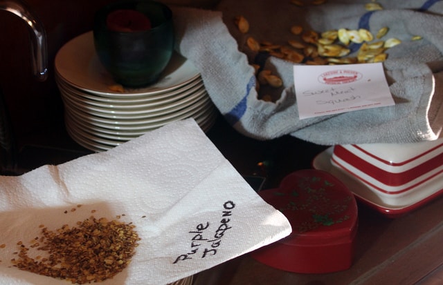 Saving seeds in bowls to dry.