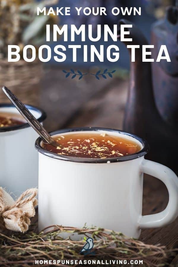 Immune Supporting Tea Blend - Homespun Seasonal Living