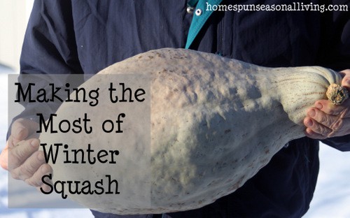 Making the Most of Winter Squash - Homespun Seasonal Living