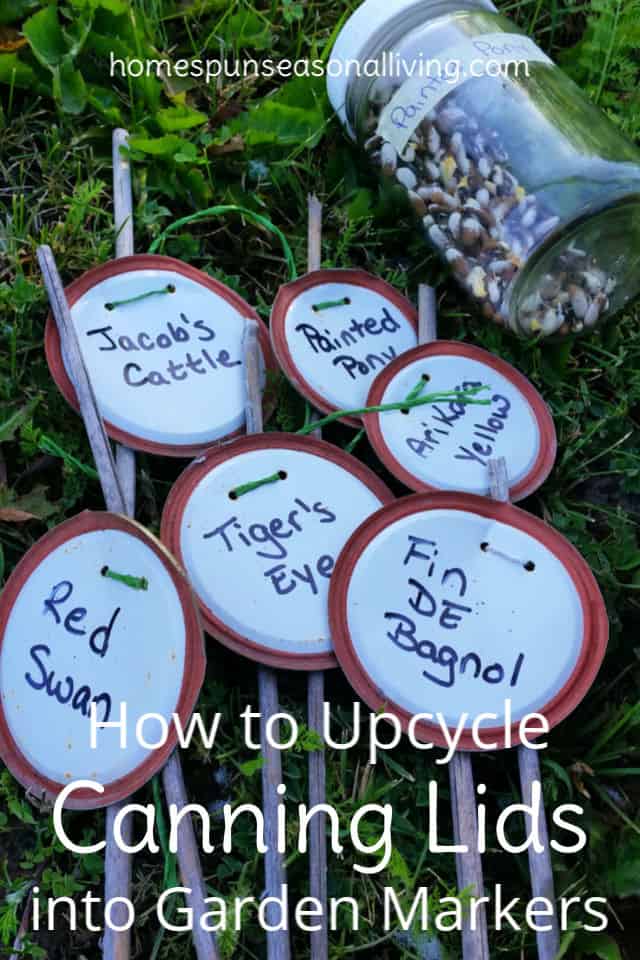 Upcycled canning lid garden markers ready to be used in the garden.