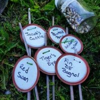 Make Upcycled Canning Lid Plant Markers