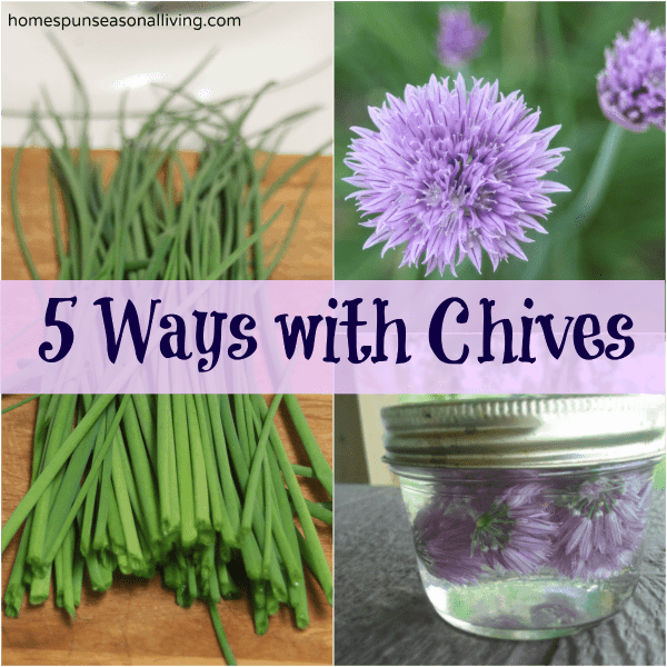 Chives are usually one of the first and most prolific things to harvest from the herb garden. Don't let any of it go to waste with these 5 ways with chives.