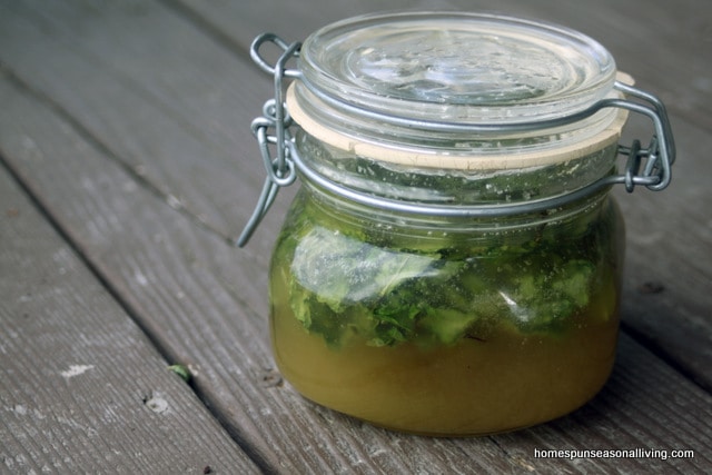 How to Make and Use Mint Infused Honey - Homespun Seasonal Living