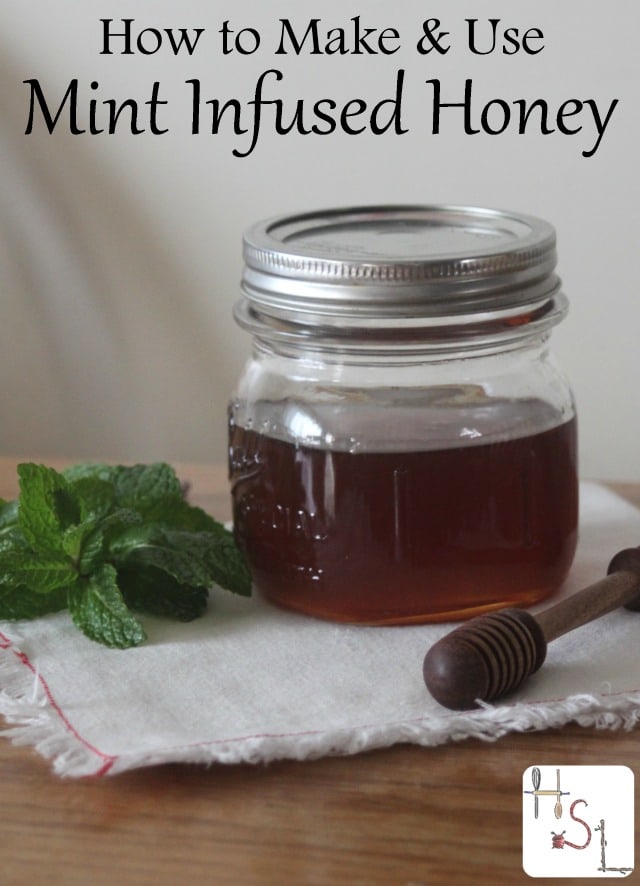 Make the most of an overgrown mint patch by making and using mint infused honey for food, herbal remedies, and body products.