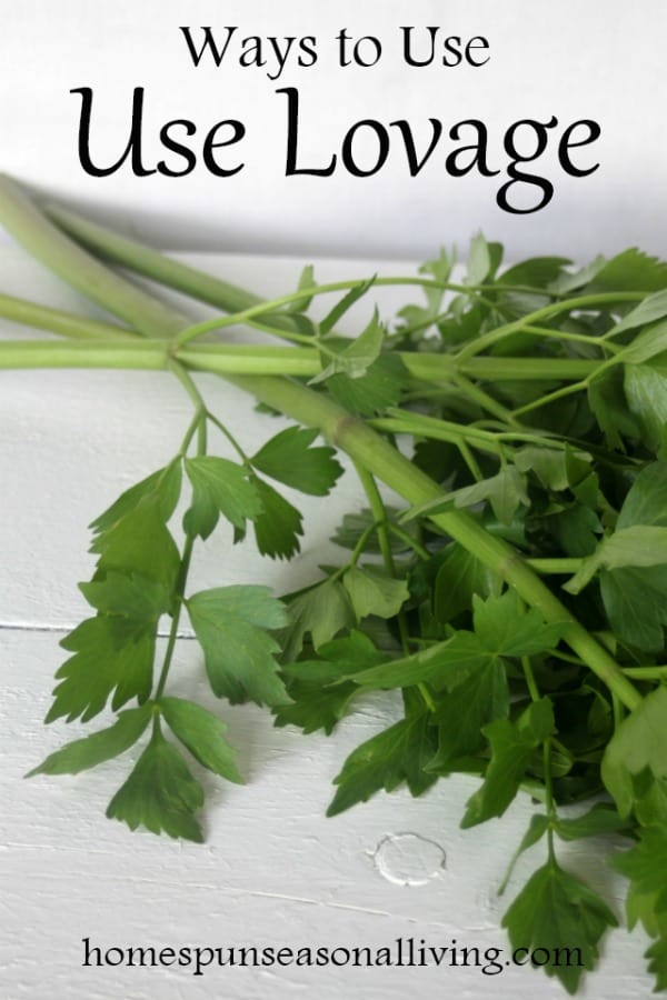 Stalks of lovage herb on a table.