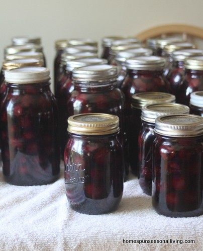 How to Preserve Cherries