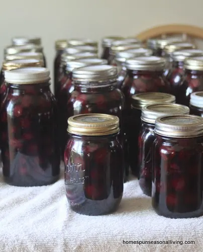 5 Ways to Preserve Sweet Cherries - Homespun Seasonal Living
