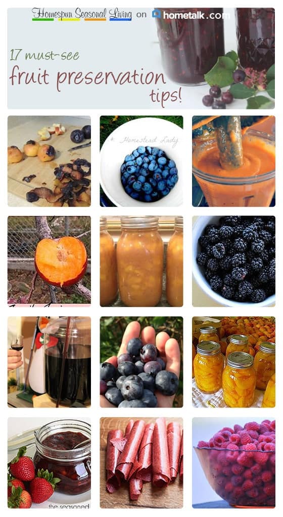 Fruit Preservation Projects