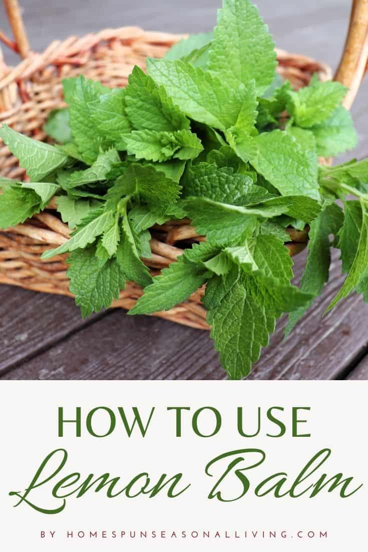 Use Lemon Balm
