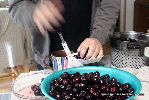 5 Ways to Preserve Sweet Cherries - Homespun Seasonal Living