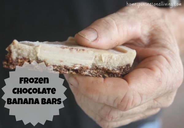 Frozen Chocolate Banana Bars - Homepsun Seasonal Living