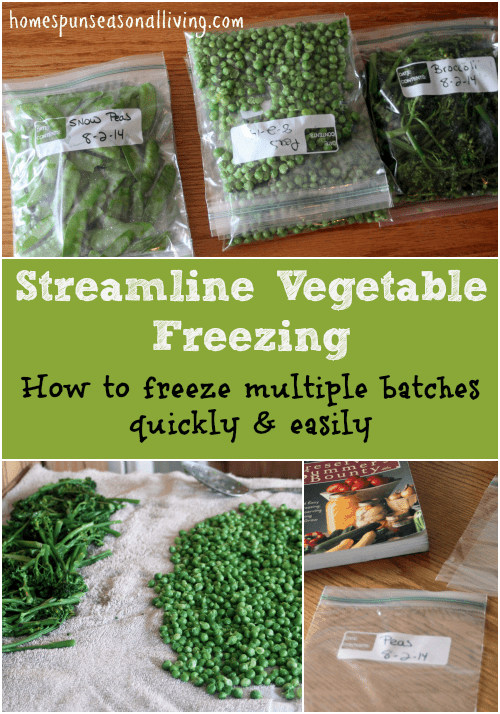 Streamline Vegetable Freezing - Homespun Seasonal Living