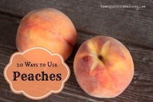 20 Ways To Use Peaches - Homespun Seasonal Living