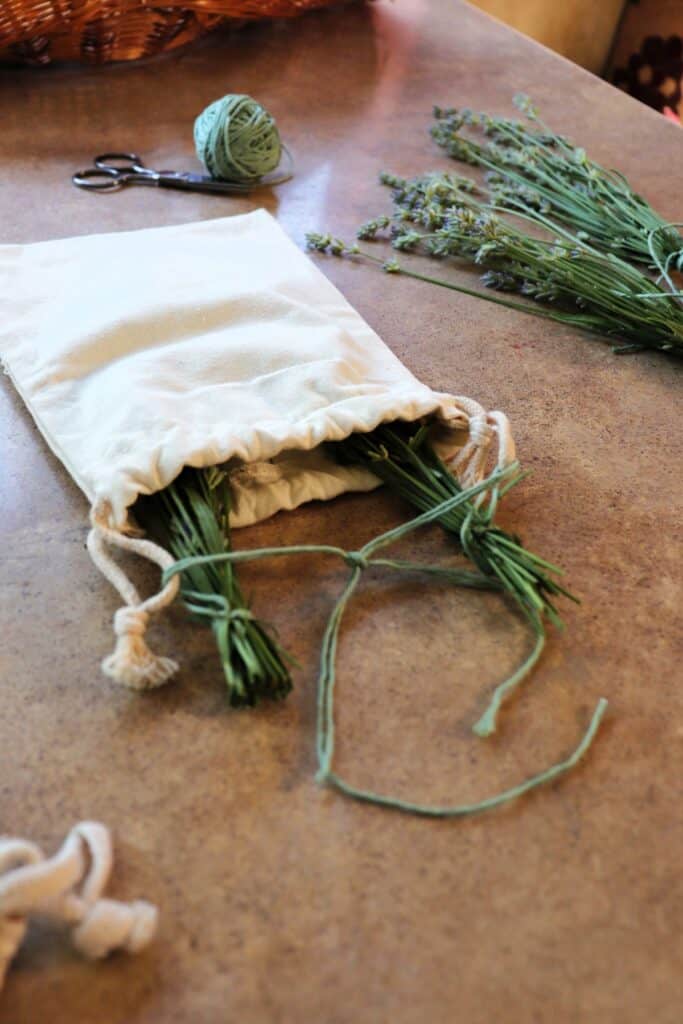 A draw string bag contains stems of lavender and sits on  table with mor bundles of lavneder stems, a ball of yarn, and a pair of scissors in the background.