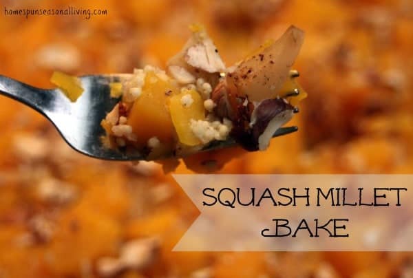 Squash Millet Bake - Homespun Seasonal Living