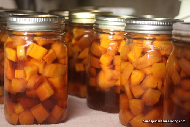 Jars of canned carrots on a table.