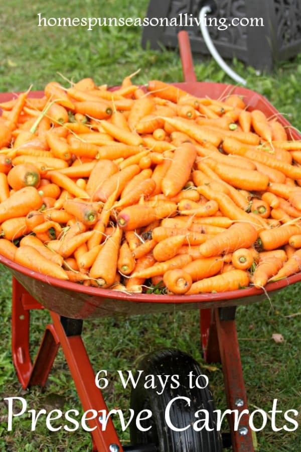 Wheelbarrow of carrots.