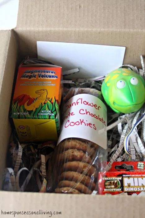 A care package full of cookies and toys.