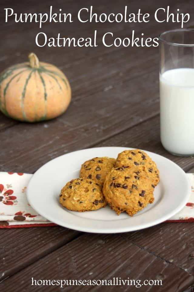 Pumpkin Chocolate Chip Oatmeal Cookies are a lightly sweetened and spiced for a perfect fall treat to keep or mail in a care package.