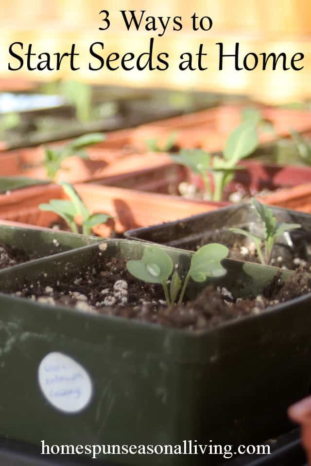 Create better variety, save money, and eat well with these 3 ways to start seeds at home and avoid limited variety and expensive plants at the local greenhouse.