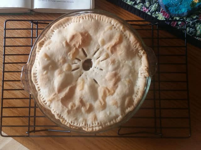 Homemade dried fruit pie on a cooling rack.