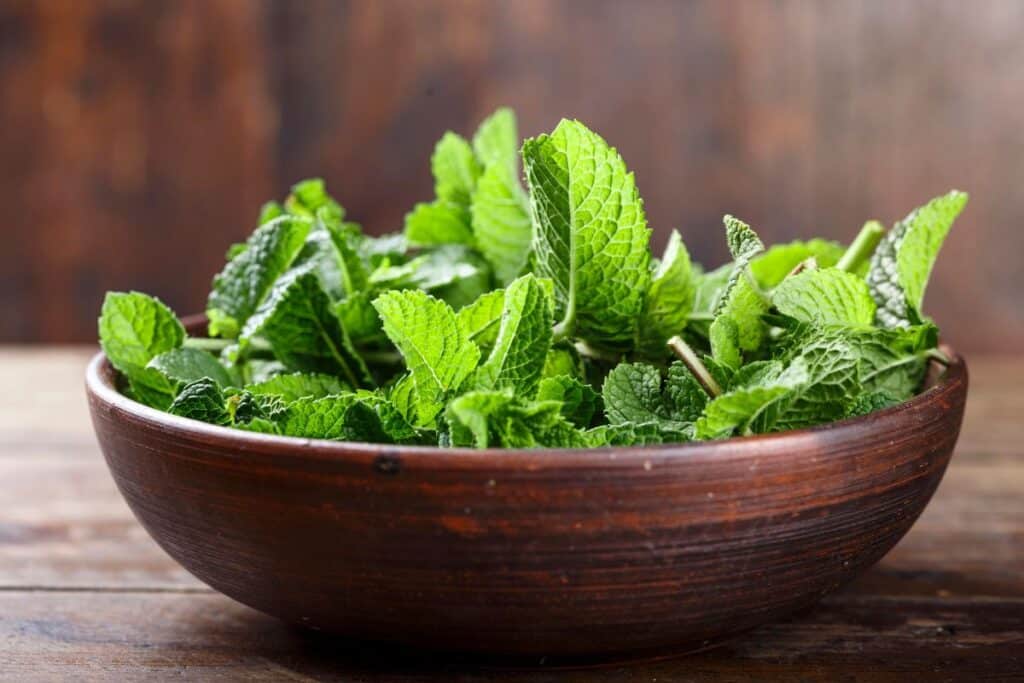A wooden bowl of fresh mint leaves sits on a table. 
