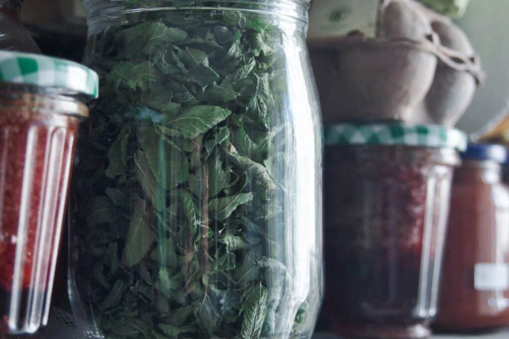 A jar full of dried mint leaves sits on a shelf alongside jars of jam. 