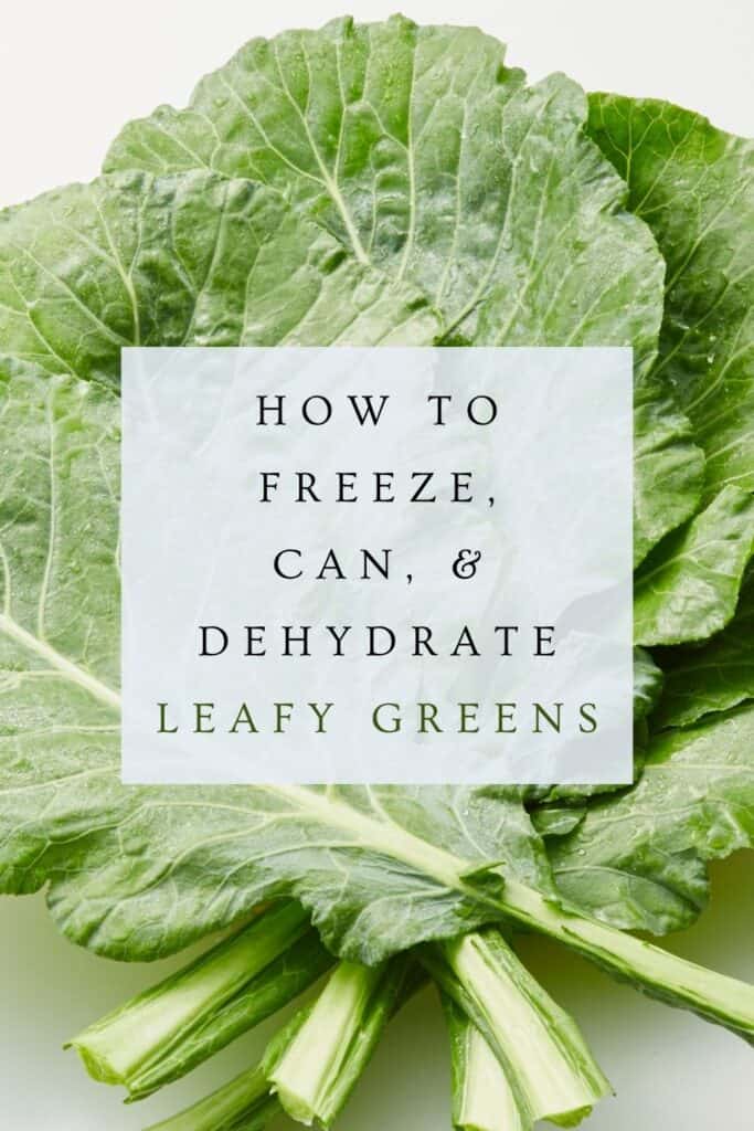 Fresh collard greens on a table. A grey text overlay box reads: how to freeze, can, & dehydrated leafy greens. 