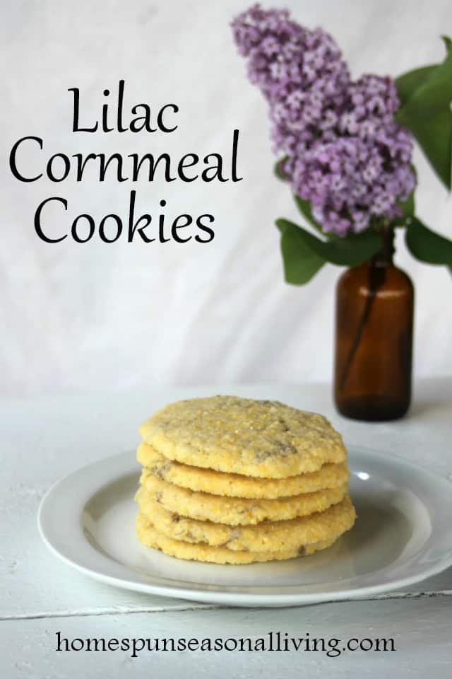 Lilac cornmeal cookies on a plate with a vase of lilac flowers.