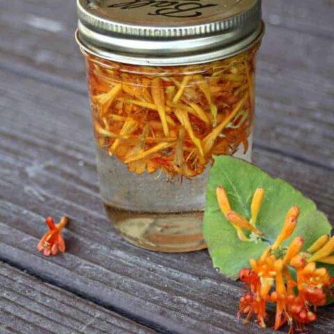 Honeysuckle glycerite infusing in the sun.