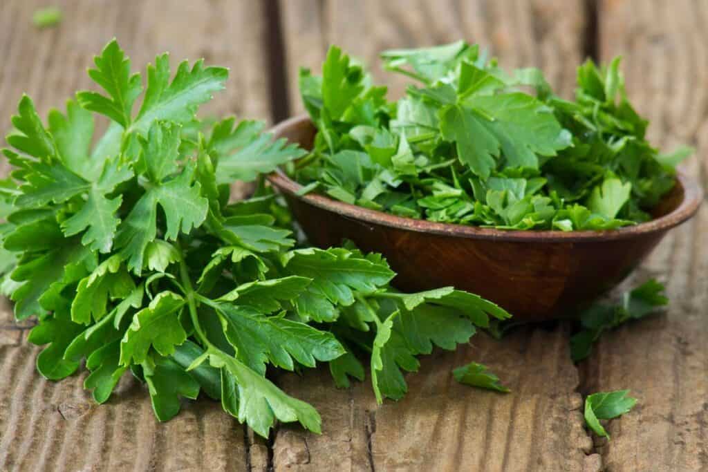 Fresh parsley sits on a table next to a wooden bowl full of chopped parsley leaves.