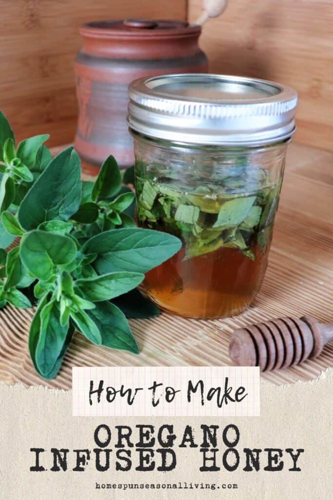 A sealed jar of honey with green leaves floating in it sits on a table. Next to it is a stem of fresh oregano leaves and a wooden honey dipper. In the background is a clay honey pot. Text overlay reads: How to Make Oregano Infused Honey. 