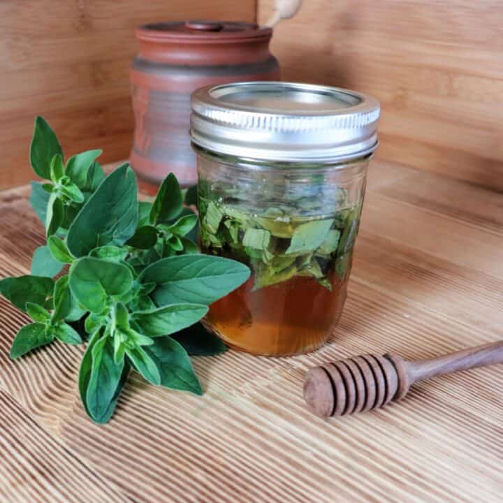 A sealed jar of honey with green leaves floating in it sits on a table. Next to it is a stem of fresh oregano leaves and a wooden honey dipper. In the background is a clay honey pot.