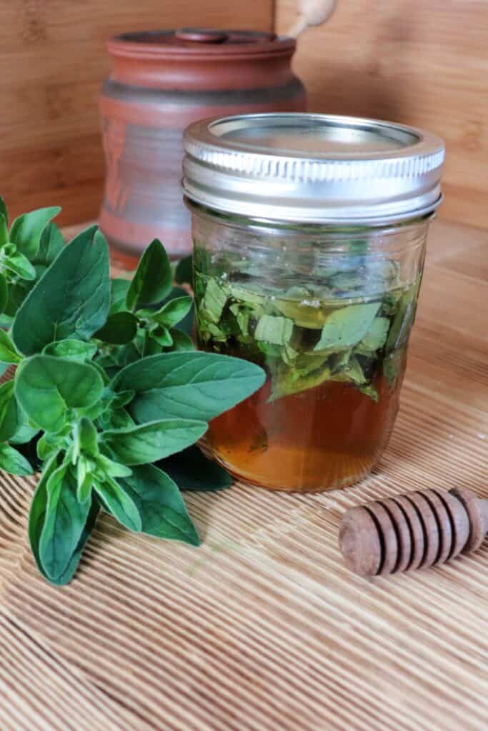 A sealed jar of honey with green leaves floating in it sits on a table. Next to it is a stem of fresh oregano leaves and a wooden honey dipper. In the background is a clay honey pot. 