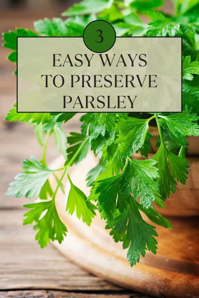 Fresh stems of parsley hang over the edge of a wooden bowl. A text overlay box reads: 3 easy ways to preserve parsley.