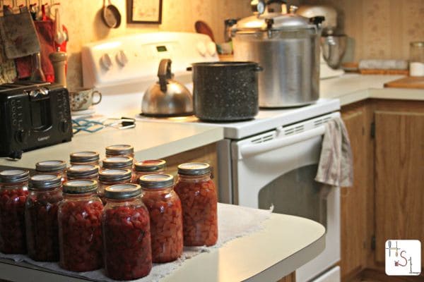 Experienced canners share their 15 Canning Tips to Save Time, Money, & Energy that can't be found in books.