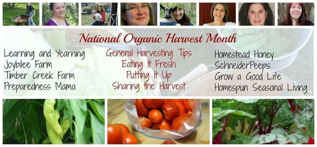 National Organic Harvest Month | Homespun Seasonal Living