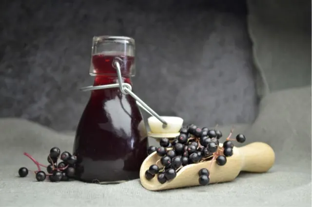 Elderberry tincture in an open bottle surrounded by a wooden scoop and fresh elderberries.