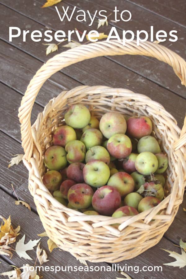 Ways to Preserve Apples