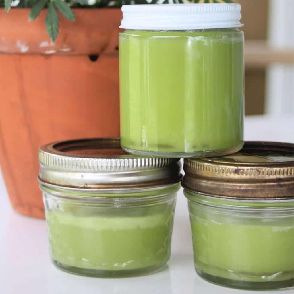 3 glass jars full of green salve in front of a flower pot.