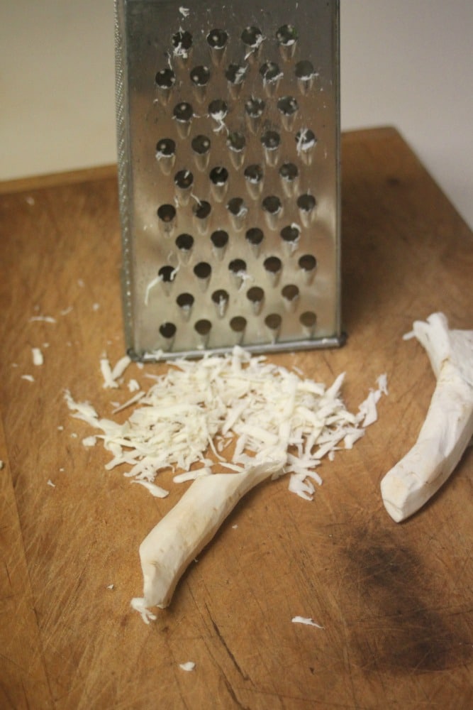 Harvesting and using horseradish for both culinary and medicinal purposes is a quick and easy process that also keeps the plant from taking over the garden.